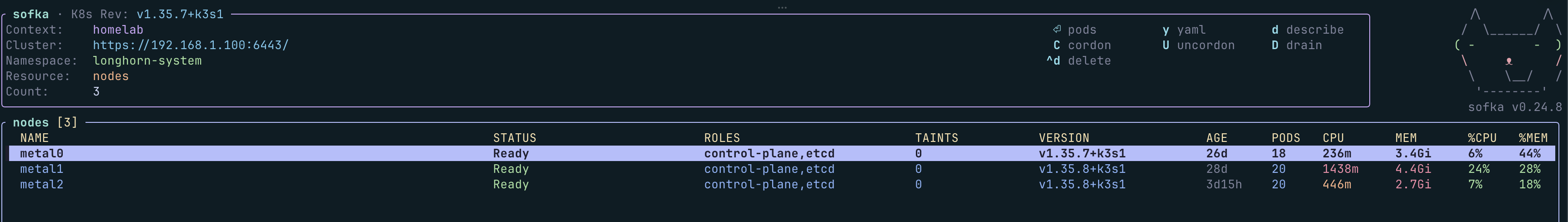 k3s control-plane nodes